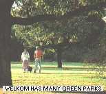 One of Welkom's many green parks